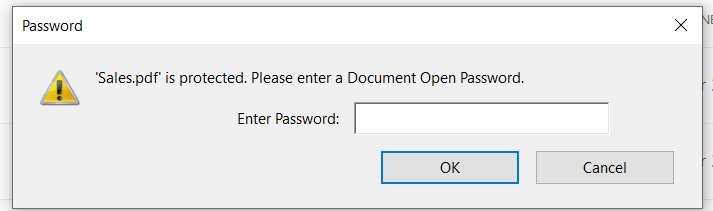 Document Open Password