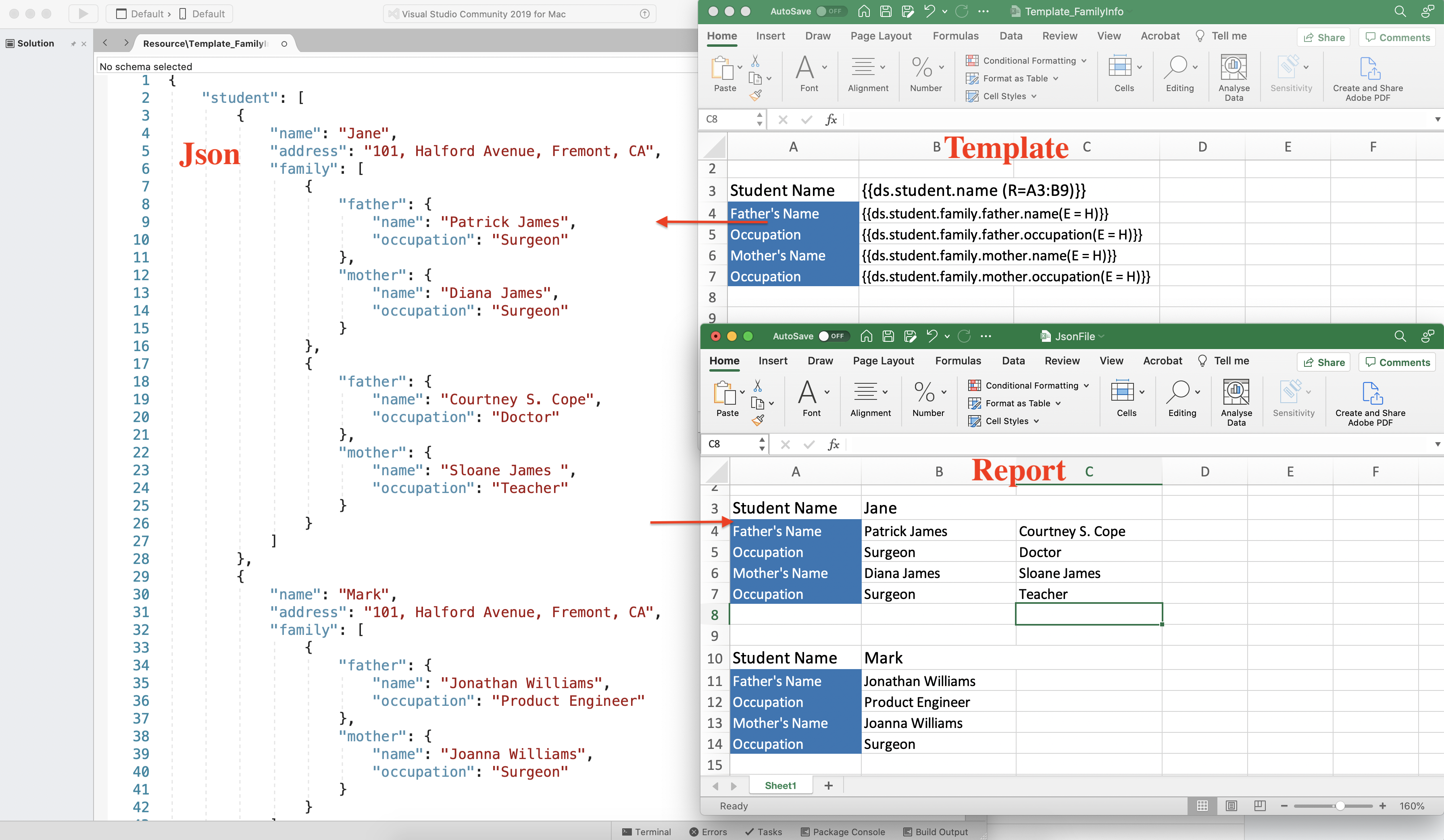 JsonDataSource bound to Report Templates using GrapeCity Documents for Excel .NET v5.1