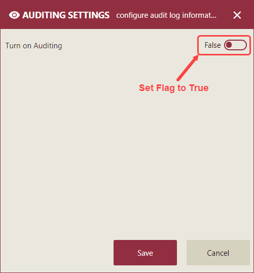 Auditing Settings - turn on the auditing settings tab